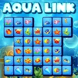 Aqua Link