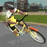 Profi-Radsport-3D-Simulator